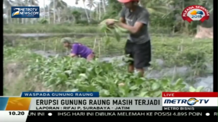  Harga Sayur di Surabaya Anjlok Drastis Akibat Erupsi Raung 