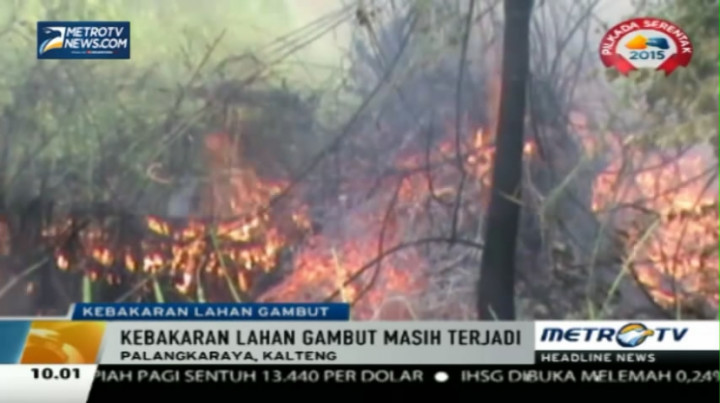  Kebakaran Lahan Gambut di Kalteng, Polisi Diminta Bantu Padamkan Api