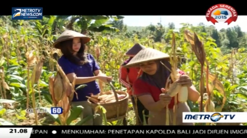 Hidup Tanpa Beras, Warga Desa Sigedong Mampu Terhindar dari Diabetes 