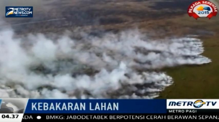Kebakaran Lahan Terus Terjadi di Sejumlah Wilayah di Sumatra