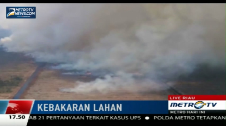  Biaya Pemadaman Kebakaran Lahan di Riau Capai Rp40 M