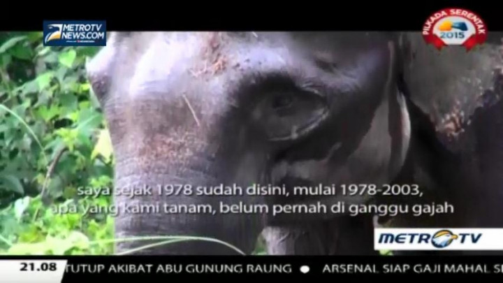Eagle Documentary Series: Menjaga Batas (1) 