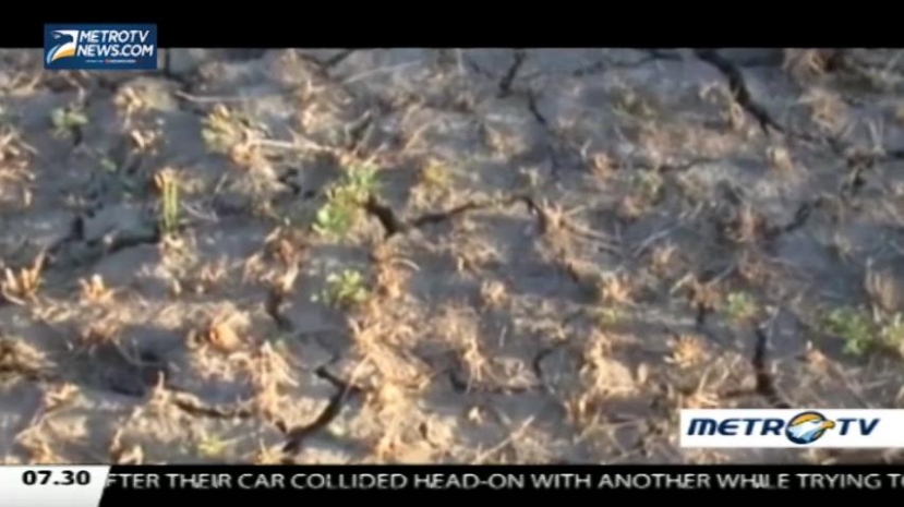 Indonesia Now, 2nd of August 2015