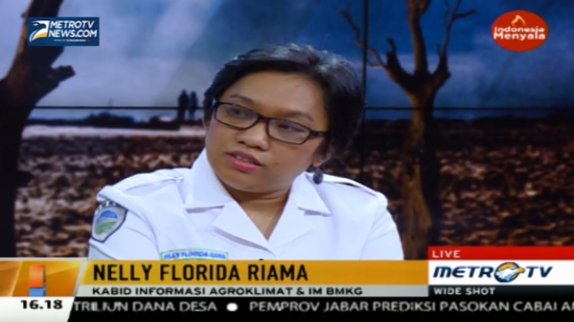 Ini Dampak Negatif dan Positif Fenomena El Nino