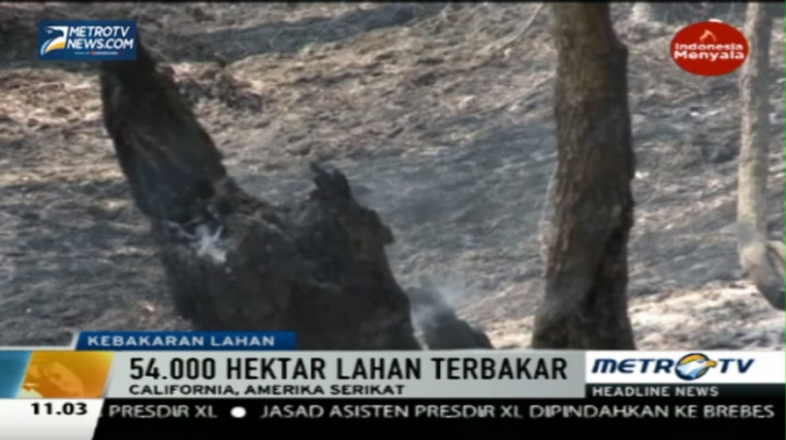 Kebakaran di California Hanguskan 54 Ribu Hektare Lahan 