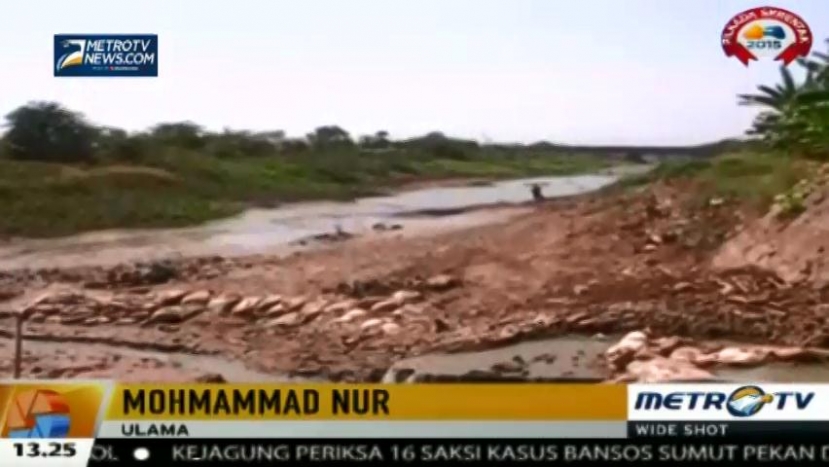 Kemarau Panjang, Beberapa Daerah Dilanda Kekeringan