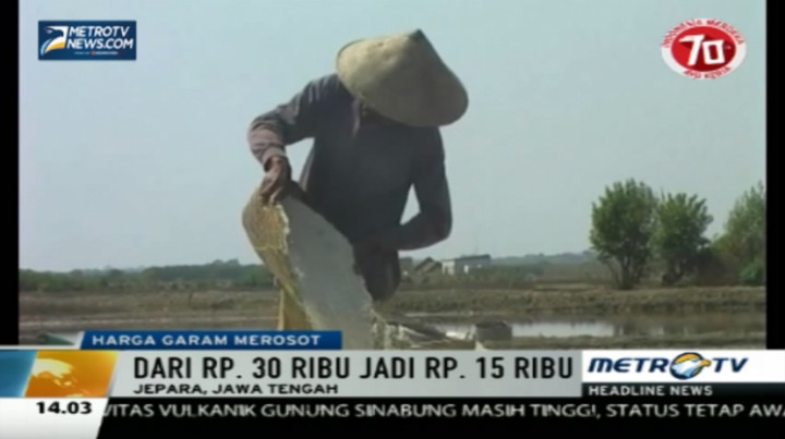 Harga Garam di Jepara Merosot Jadi Rp15 Ribu per Kwintal