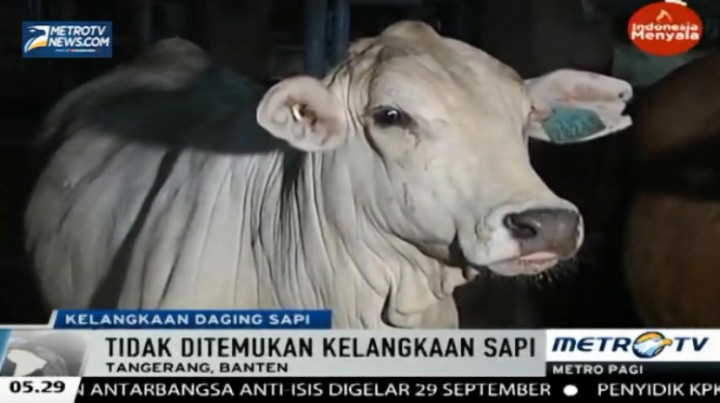 Kabareskrim Mabes Polri Cek Dua Lokasi Peternakan Sapi