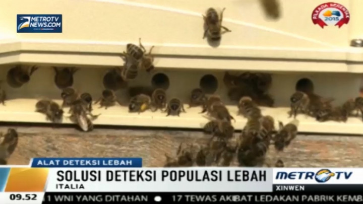 Teknologi Pendeteksi Lebah Melixa