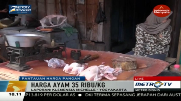 Pedagang Daging Ayam Yogya Tak Terpengarung Mogok Jualan