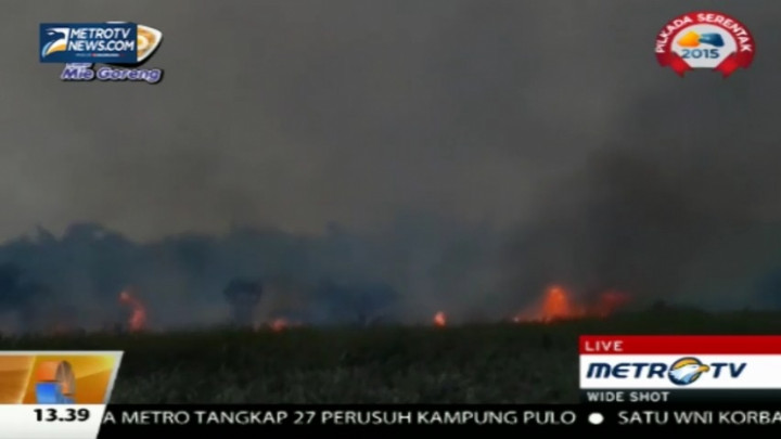 379 Titik Api Tersebar di Sumatra Selatan