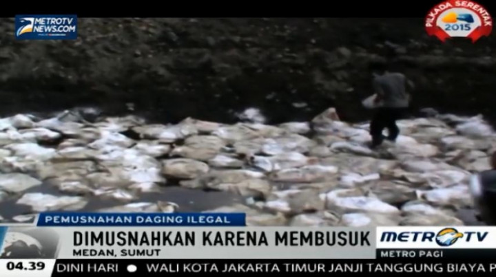 20 Ton Daging Selundupan Asal India Dimusnahkan