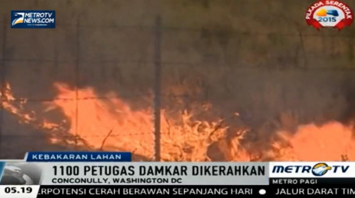 Kebakaran Lahan Landa Bagian Utara dan Tengah Washington DC