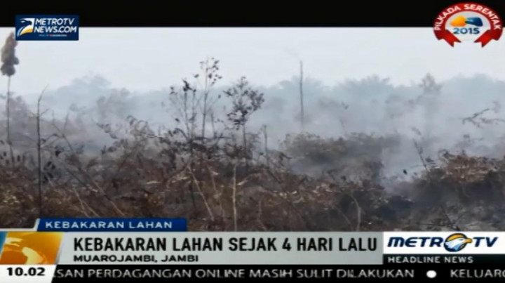 Lahan Perkebunan Warga di Muarojambi Terbakar