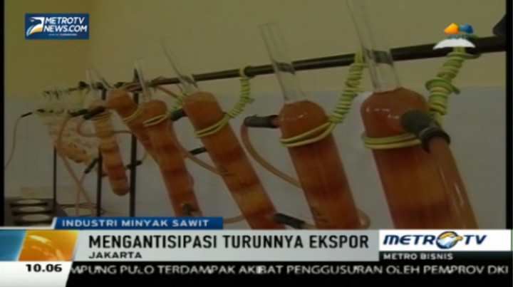 Harga CPO Turun, Pemerintah Kembangkan Produk Turunan Sawit