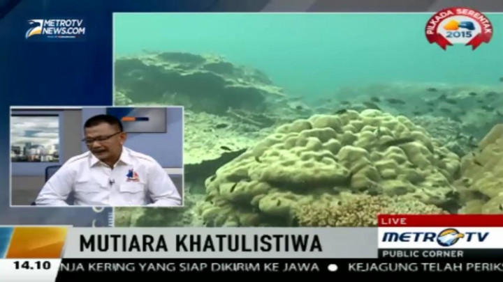 Mengenal Potensi Luar Biasa di Teluk Tomini