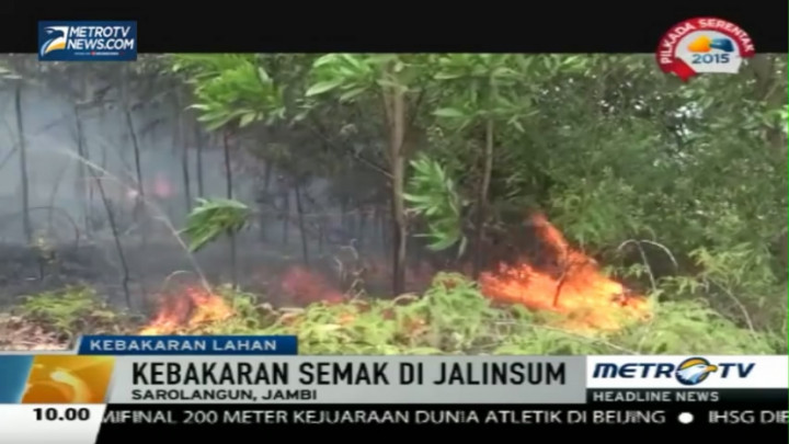 Kebakaran Lahan di Jambi Disebabkan Puntung Rokok