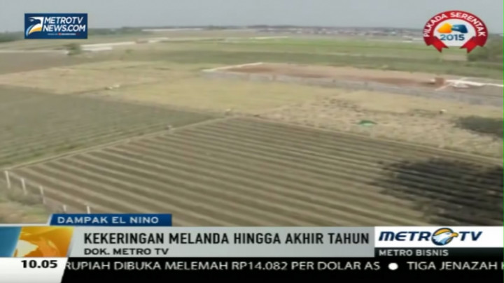 El Nino Diprediksi Masih Terjadi Hingga Akhir Tahun