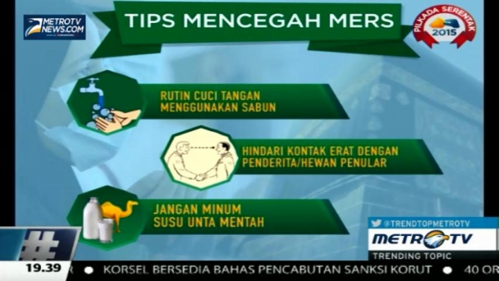 Cegah MERS, Jemaah Haji Disarankan Hindari Susu Unta Mentah