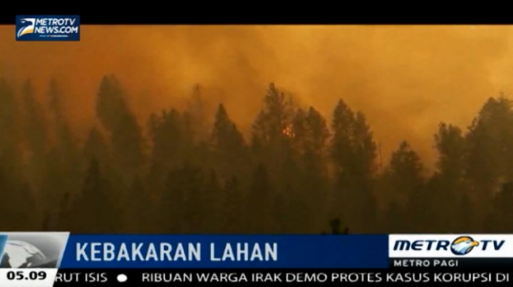 Petugas Berusaha Padamkan Kebakaran Besar Lahan di Washington DC