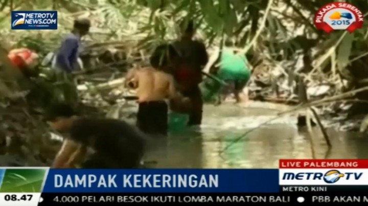 Tak Selamanya Kemarau Membawa Dampak Negatif Bagi Warga Ini