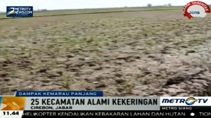 Kekeringan Masih Melanda NTT, Jabar, dan Lampung
