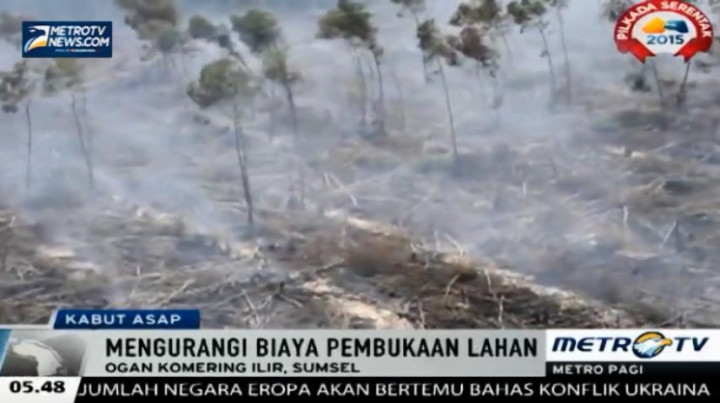 Titik Api Kebakaran Lahan di Sumatra Selatan Bertambah