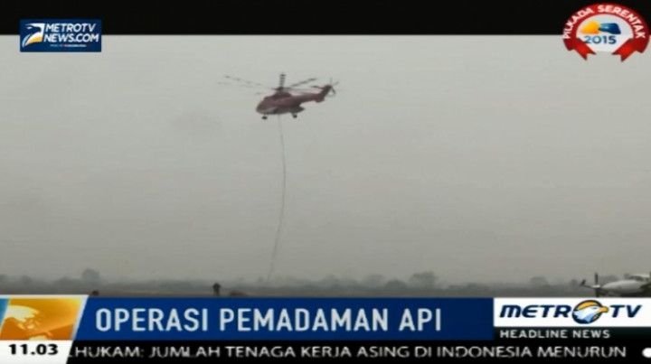 BNPB Provinsi Jambi Berupaya Padamkan Kebakaran Lahan