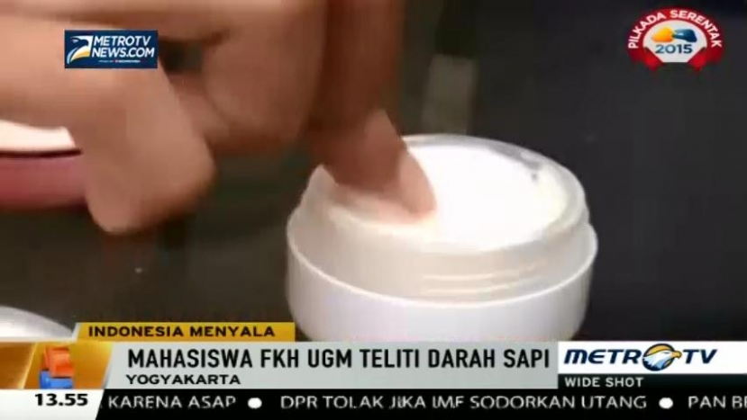 Mahasiswa UGM Ciptakan Salep Luka Bakar dari Limbah Darah Sapi