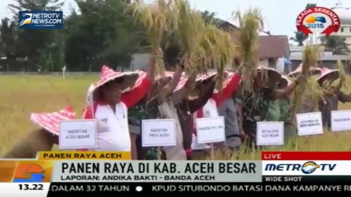 Panen Raya, Petani Aceh Mulai Manfaatkan Tenaga Mesin