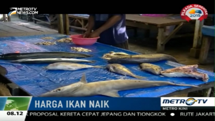 Harga Ikan Laut di Bengkulu Naik 50 Persen