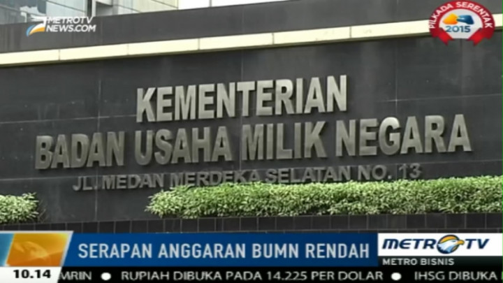 BUMN Ajukan Anggaran Dua Kali Lipat dari APBNP 2015