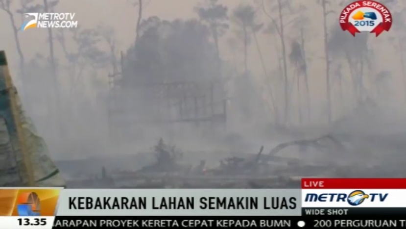 Pemerintah Kabupaten Muba Tak Mampu Padamkan Titik Api yang Makin Meluas 