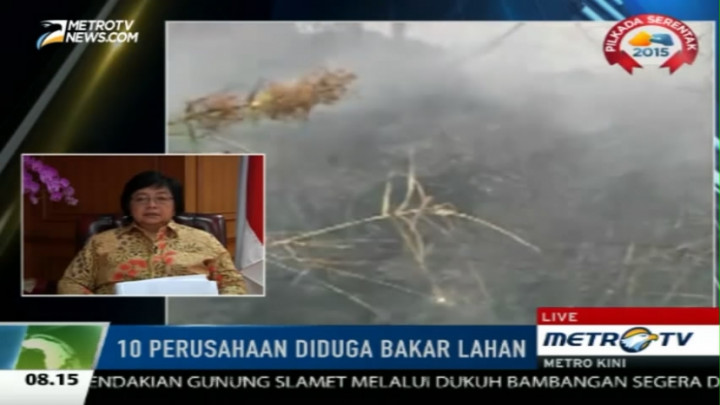 Ini Sanksi Bagi Perusahaan Pembakar Hutan dan Lahan 