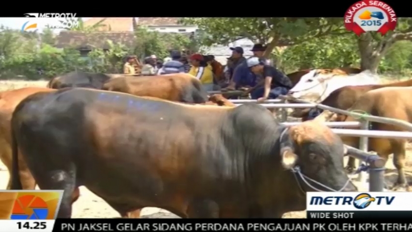 Jelang Idul Adha, Harga Hewan Kurban Naik hingga 30 Persen