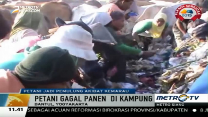 Ratusan Petani Asal Gunungkidul Banting Setir Jadi Pemulung