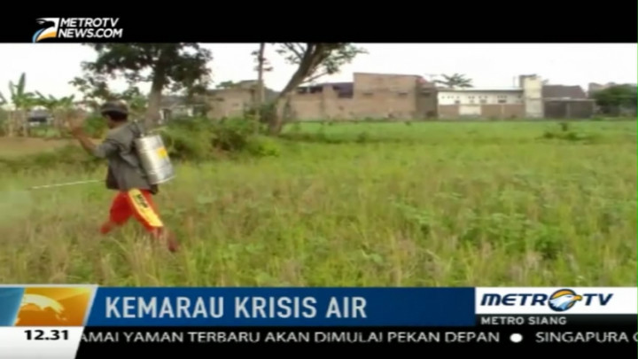 Petani di Bojonegoro Airi Tanamannya dengan Air Selokan