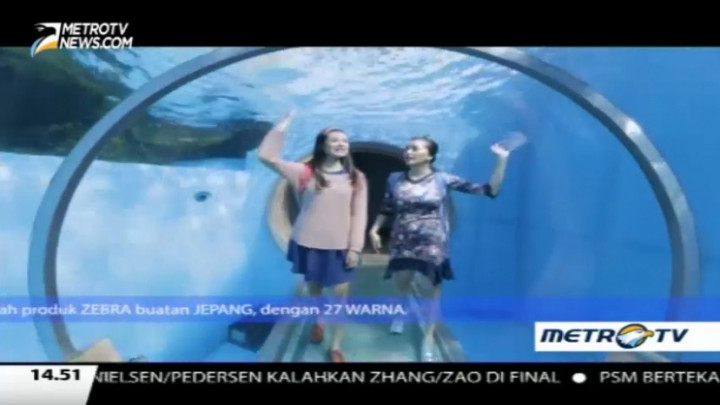 Menikmati Indahnya Laut di Aquarium Terluas Jepang