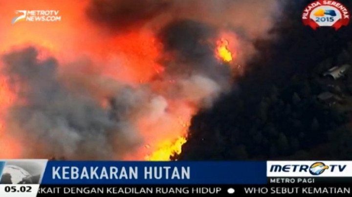 Kebakaran Hutan Besar Melanda California-Amerika Serikat