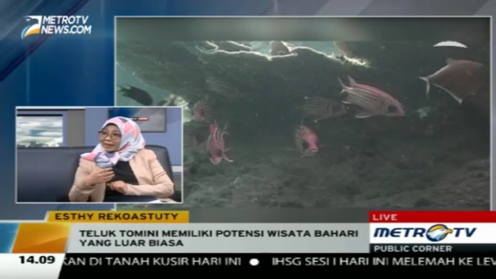 Teluk Tomini Miliki Potensi Wisata Bahari yang Luar Biasa 