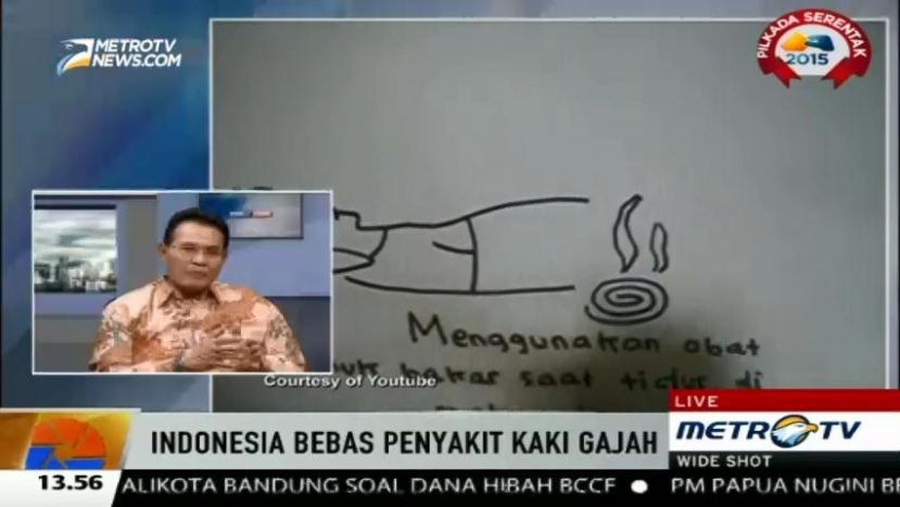 Gunakan Bahan Alami Ini untuk Hindari Gigitan Nyamuk