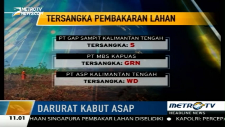 Menteri LHK Periksa Administrasi 250 Perusahaan Terkait Kebakaran Lahan