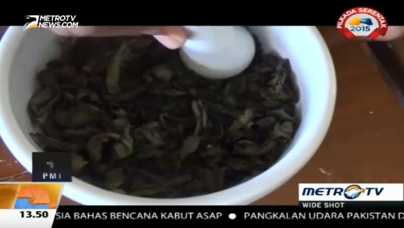 Siswa SMK Racik Daun Kersen Jadi Obat Diabetes