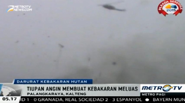 Puluhan Hektare Lahan di Jalan Trans Kalimantan Poros Selatan Terbakar 