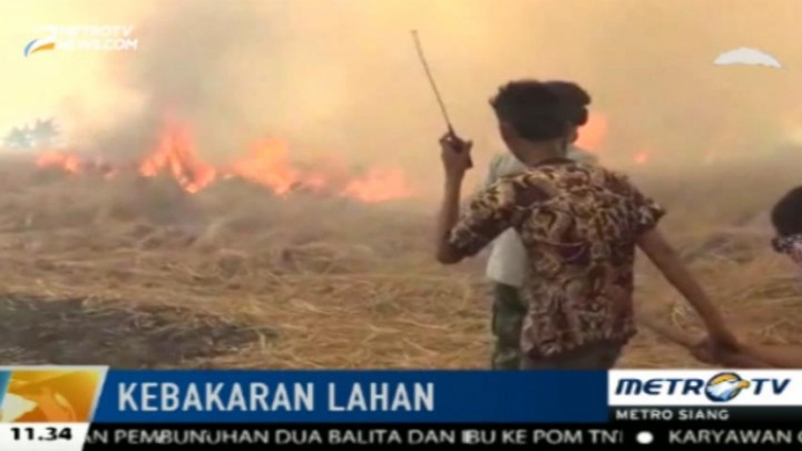 Puluhan Hektare Sawah di Banjar Hangus Terbakar