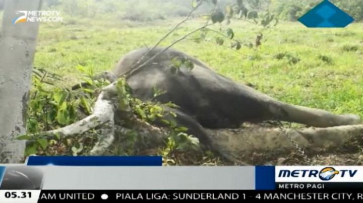 Kematian Yongki Masih Diselidiki