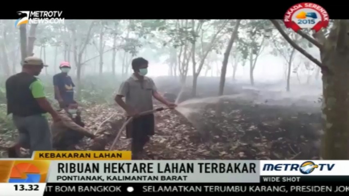 500 Hektare Kebun Karet di Terentang Hangus Terbakar