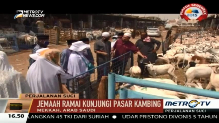 Jelang Wukuf, Jemaah Ramai Kunjungi Pasar Kambing
