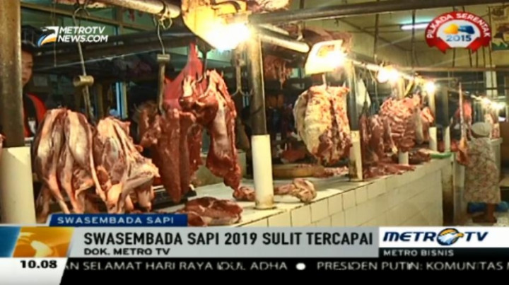 Target Swasembada Sapi 2019 Dinilai Sulit Tercapai