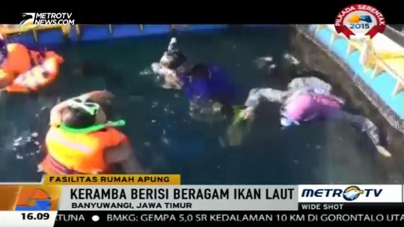 Rumah Apung Ini Tawarkan <i>Selfie</i> Bersama Ikan Hiu